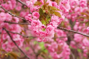 南京秦淮区1线下个人借款平台一站式服务，轻松解决资金难题