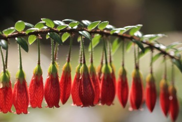 南京秦淮区1零用贷短借：轻松解决临时资金需求