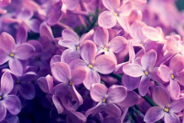 南京秦淮区1企业急用钱贷款攻略：快速融资解燃眉之急